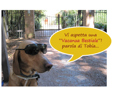 vacanze cane Toscana